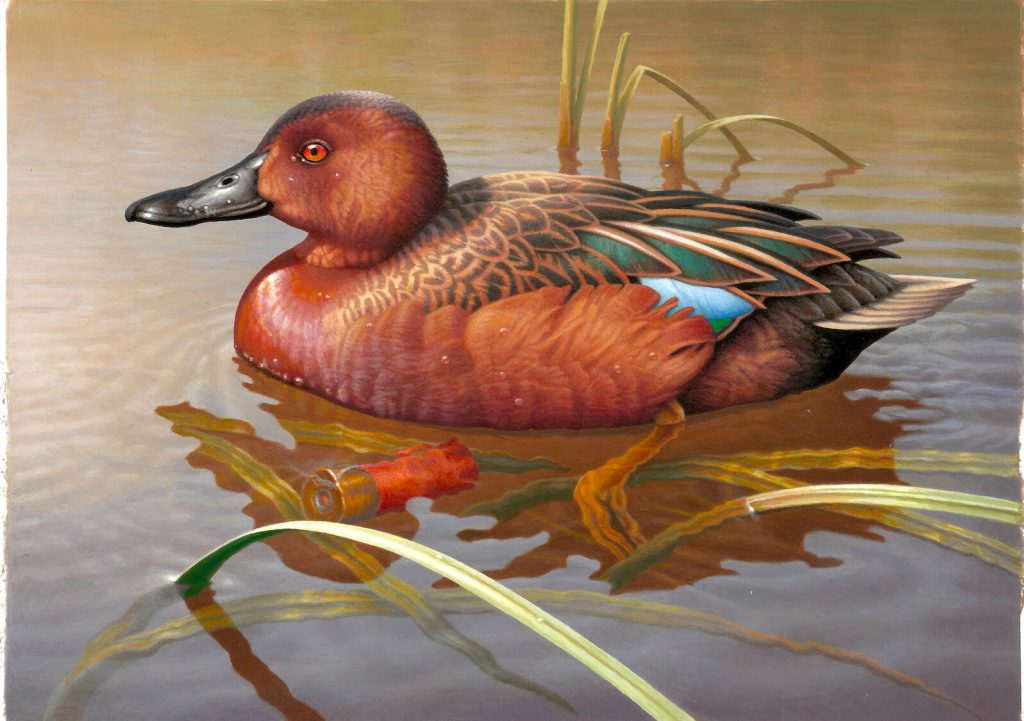 where to buy duck stamps