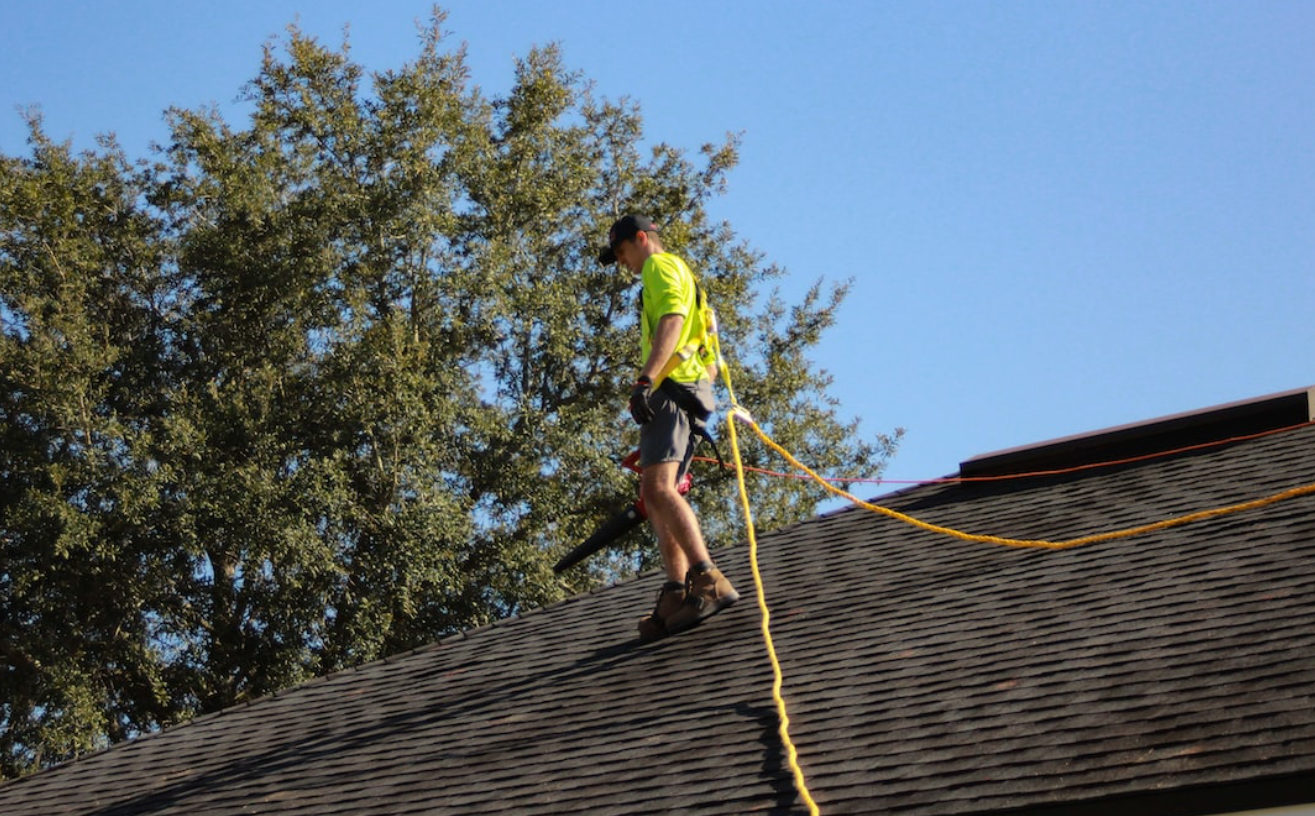 Professional Roofer